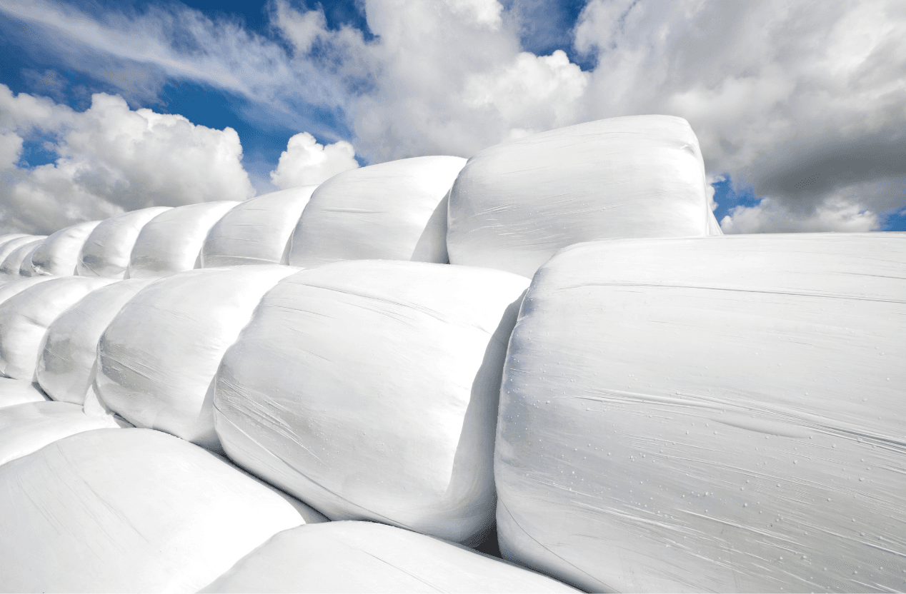 Design Uten Navn (8)